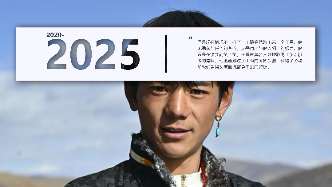 关于“丁真现象”总分析